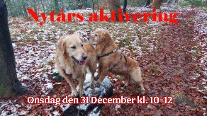 Et billede, der indeholder pattedyr, udendørs, træ, HunderaceAI-genereret indhold kan være ukorrekt.